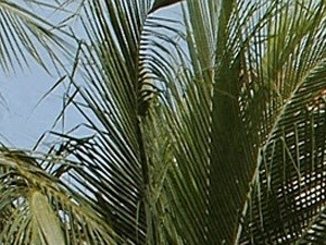 Exterior Exterior